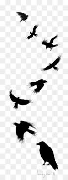 Crow Png Crown Crowd Princess Crown Scarecrow Royal Crown Black Crow Crow Vector Cartoon Crow Crow Silhouette Crow Drawing Crow Raven Black And White Crow Cute Crow Crow Outline Cleanpng Kisspng We must determine how widespread the naga's activity truly is and react accordingly. crow png crown crowd princess crown