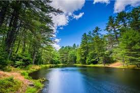 Maybe you would like to learn more about one of these? 25 Best New Hampshire State National Parks