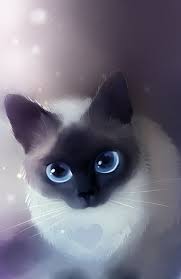 Black And White Siamese Cat Drawing Adorable Animals Paintings By Rihards Donskis Inspirationfeed Cat Art Cute Animal Drawings Cat Art Print