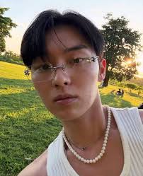 Rare variegated hoya parasitica verticilata heart leaves