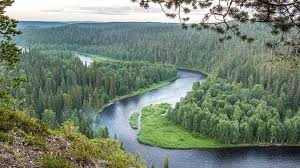 See more ideas about finland, nature, lapland. 10 Most Beautiful Nature Areas In Finland Wild Nordics