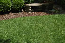 For smaller spaces, use a shovel by cutting the grass in manageable squares and pushing. Tips To A Perfect Lawn Neil Sperry S Gardens