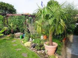 Living Ruhr Melanies Schrebergarten Schrebergarten Garten Exotische Pflanzen