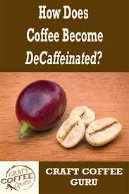 Pin On Craft Coffee Guru