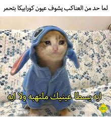 pin by علي الشريف on curry wallpaper funny photo memes funny picture jokes dora funny