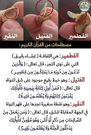 القطمير والفتيل والنقير Islam Facts Gold Rings Gold