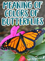 Butterfly Meaning The Symbolism Will Surprise You Butterfly Meaning Butterfly Symbolism Monarch Butterfly Meaning