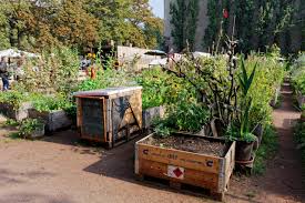 Wir sind eine gartengemeinschaft von jungen und älteren menschen, die aus verschiedenen ländern kommen. Gemeinschaftsgarten In Berlin 12 Orte Fur Urbane Hobby Gartner