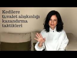 Kedi Tuvaleti Temizliginde Super Bir Yontem Buldum Youtube
