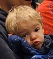 Modern Aquarium by Dan Radebaugh