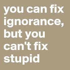 You Can Fix Ignorance But You Can T Fix Stupid Post By Hdmhmd On Boldomatic