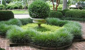 Mcdonald Garden Center Garden Planning Grasses Landscaping Mondo Grass