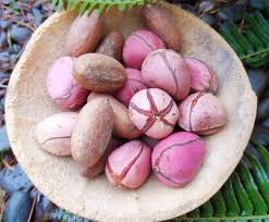 For Health Enthusiasts Take A Look At Kola Nut Side Effect Health Fruits And Veggies Health And Wellness