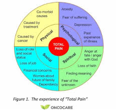 Image result for Cancer Pain