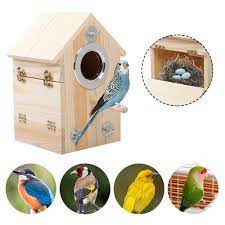 The house is located next to das stone haus, which is also a guesthouse and sleeps up to 10 people. Vogel Haus Vogel Feeder Zucht Box Vogel Nest Budgerigar Papagei Inkubator Vogel Feeder Gunstig Kaufen Preis Kostenloser Versand Echte Bewertungen Mit Fotos Joom