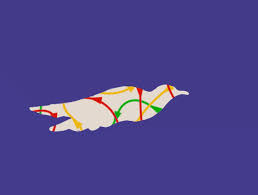 Owls can rotate their head about their neck 270 degrees plus or minus a few degrees see for example: Why Animals Don T Get Lost The New Yorker