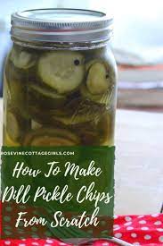 Homemade Dill Pickle Chips Recipe