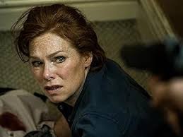 Ohne Schuld: Kriminalroman