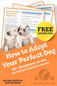 Adopt Your Perfect Dog Dogs Rescue Dogs Puppy Care List
