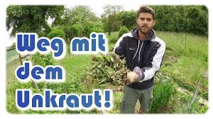 Mit einem unkrautbrenner lässt sich unkraut auf allen flächen entfernen, auf denen der einsatz von unkrautvernichtern gesetzlich verboten ist. Unkraut Im Garten Unkraut Entfernen Ernten Aufraumen Youtube