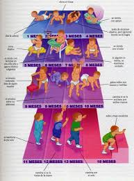 Piramide Bebe Desarrollo Del Bebe Educacion Del Bebe