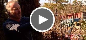 Learning Center The Good Earth Garden Center Learning Centers Garden Center Landscaping Tips
