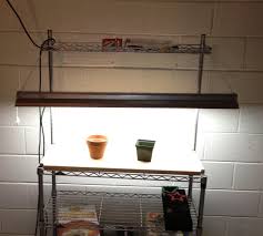 Check spelling or type a new query. Helping Your Garden Grow With Diy Lights Will Bike For Change Or Pie