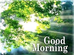 Good morning images of nature with quotes. 900 Beautiful Good Morning Nature Images Nature Good Morning Photos Good Morning