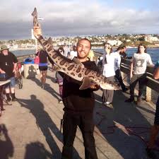 Maybe you would like to learn more about one of these? Ocean Beach Pier San Diego Pier Fishing In California