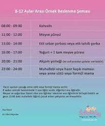 8 12 ay beslenme beslenme bilgi saglik