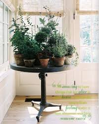 I Love This Idea For Growing Indoor Herbs Grab An Old Table And Group Them Together In A Sunny Corner Indoor Herb Garden Plants Plant Table