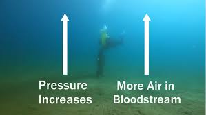 نتیجه جستجوی لغت [bends] در گوگل