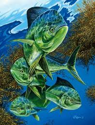 2011 Marlin Art Gallery Fish Art Fish Drawings Fish Painting