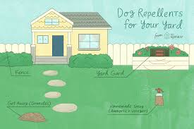 how to keep dogs away from yards