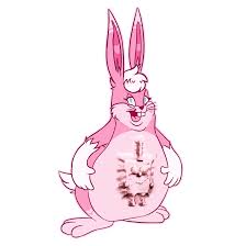 Everybody gangster till chungus shows up hours | kids meme. Big Chungus Wallpapers Wallpaper Cave