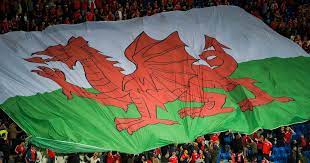 Featured items newest items best selling a to z z to a reviews price. The Welsh Flag Has Been Voted The Coolest On The Planet North Wales Live