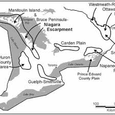 A hammer is a tool used for smithing items on an anvil, and it is vital to level the smithing skill. Eccentric Hammer Inside The Casing Download Scientific Diagram