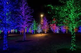Where To See The Best Christmas Lights In Dallas Best Christmas Lights Decorating With Christmas Lights Christmas Light Show