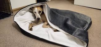 Many cave dog beds have removable covers that can be machine washed. Cave Dog Bed Dog Bed Snuggle Dog Bed Pet Bed Whippet S Bed Happys Doggy Beds
