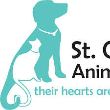 Croix animal welfare center's pet place in la grande princess. St Croix Animal Welfare Center Home Facebook