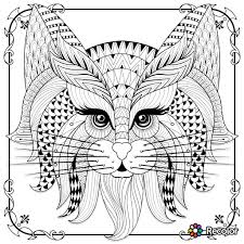 Cute Cat Zentangle To Colour Coloring Dog Coloring Page Cat Coloring Page Animal Coloring Pages