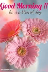 We did not find results for: 100 Good Morning Images With Flowers To Brighten Her Day