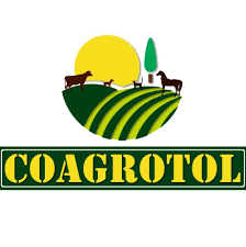 Universidad del tolima, ibagué, colombia. Comercializadora Agropecuaria Del Tolima ç…§ç‰‡ Facebook