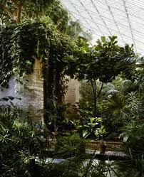 The Barbican Conservatory London Misha De Ridder Winter Garden Kew Gardens Indoor Garden
