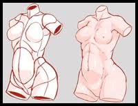 Figure Drawing How To Draw Human Body Torso With Lesson And People S Bodies Torsoes For Creating Cartoons Comics Illustrations Characters Here presented 56+ female body reference drawing images for free to download, print or share. figure drawing how to draw human body