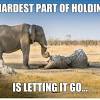 To learn more, visit know your meme. Https Encrypted Tbn0 Gstatic Com Images Q Tbn And9gcqhrhrt3zbu1y5nr4tzutpiyfhgf7idxaupndi1efzoralvehmw Usqp Cau