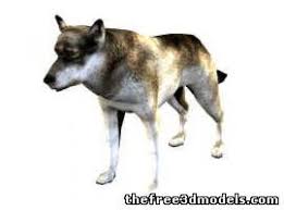 Wolf 3d Model Free Wolf 3d Wolf