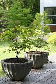 Sichtschutz Pflanzkubel Sichtschutze Konnen Auch Dekorativ Sein Garten Deko Pflanzen Garten