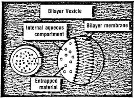 FM: DRUG DELIVERY SYSTEMS: Second Edition