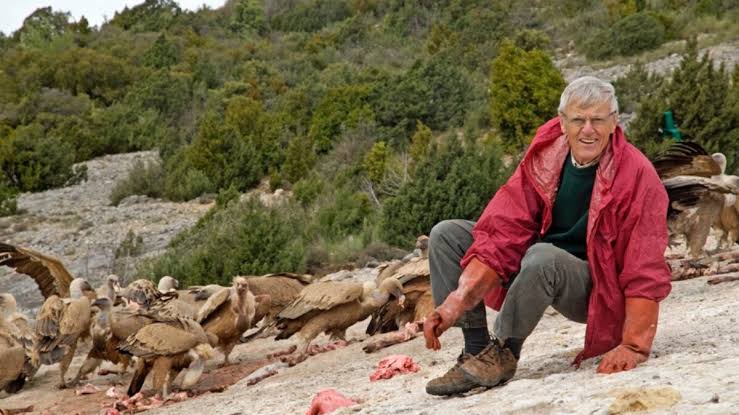 Rencontre avec Michel Terrasse, fidèle protecteur des rapaces dans le monde - Univet Nature